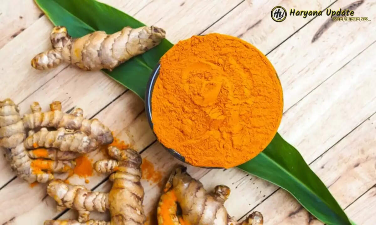 Business Idea: हर साल लाखों नहीं करोड़ों का फायदा देगी ये खेती, फोलो करें ये तरीका