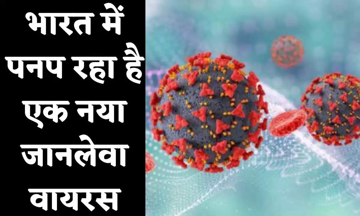 भारत में पनप रहा है एक नया जानलेवा वायरस