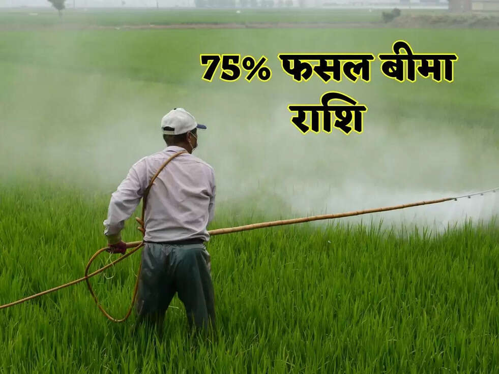 Kisan Muavja Bima: सरकार इन जिलों  किसानों को देने जा रही है 75% फसल बीमा राशि, जानिए उन जिलों के नाम 