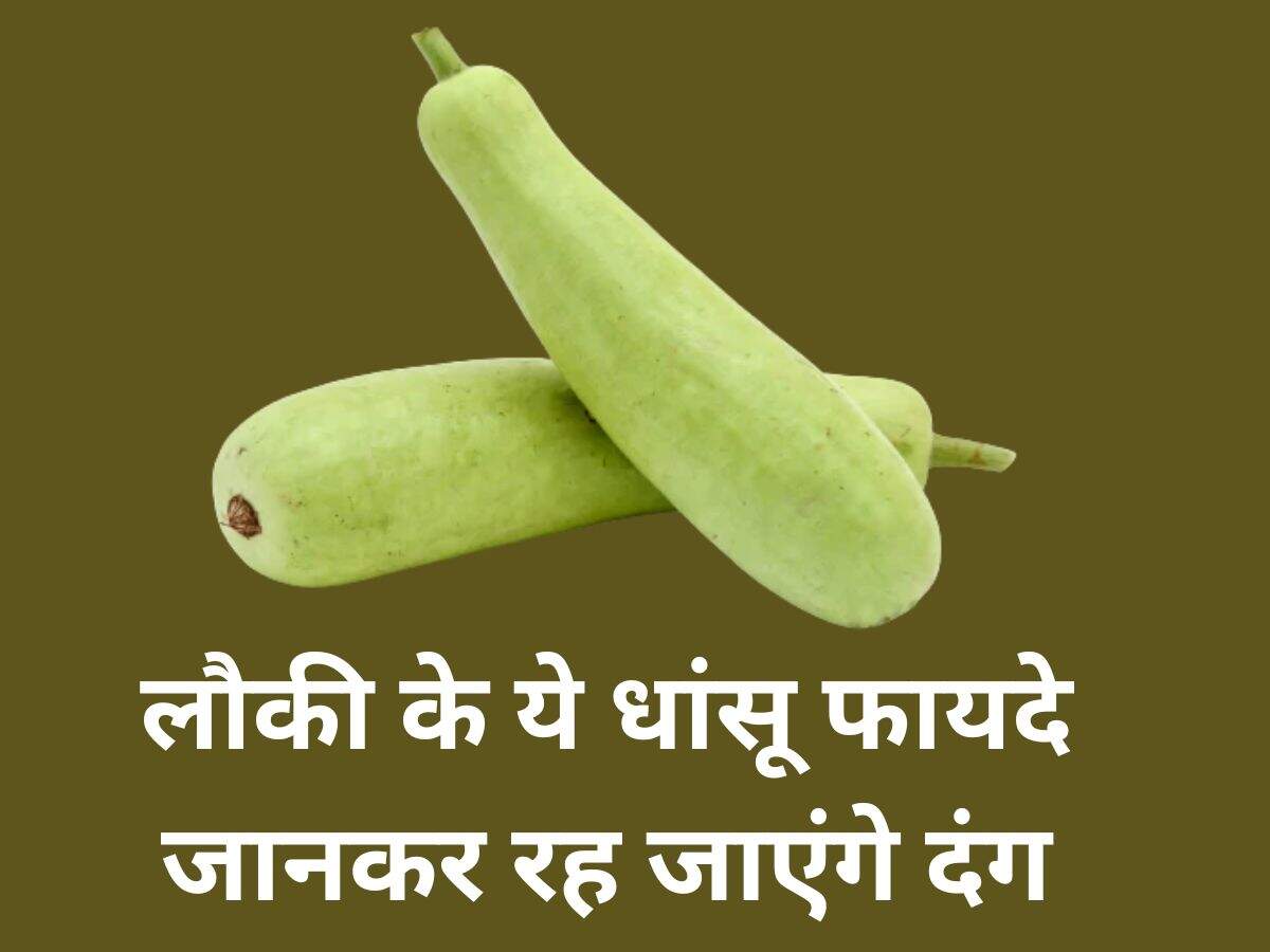 Bottle Gourd Benefits लौकी के ये धांसू फायदे जानकर रह जाएंगे दंग