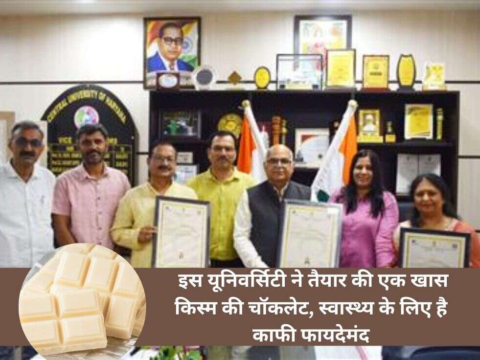 Central Univercity Researcher