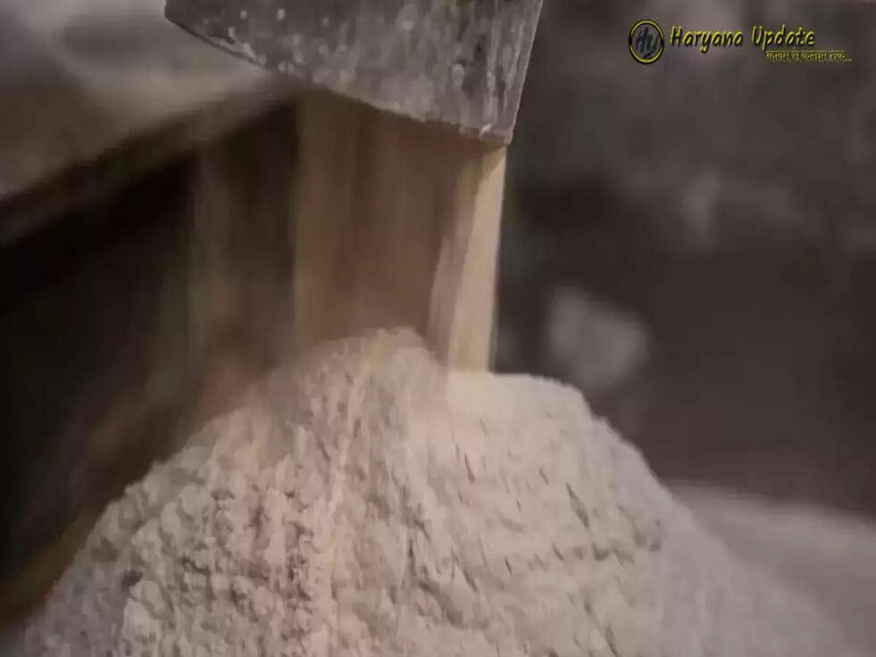 Wheat Flour Ban: मैदा-सूजी के साथ गेहूं के आटे के निर्यात पर भारत सरकार ने लगाई रोक&nbsp;