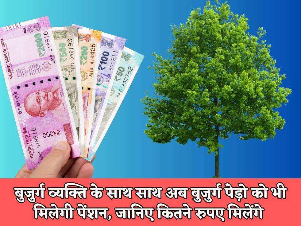 Haryana Scheme : बुजुर्ग व्यक्ति के साथ साथ अब बुजुर्ग पेड़ो को भी मिलेगी पेंशन, जानिए कितने रुपए मिलेंगे 