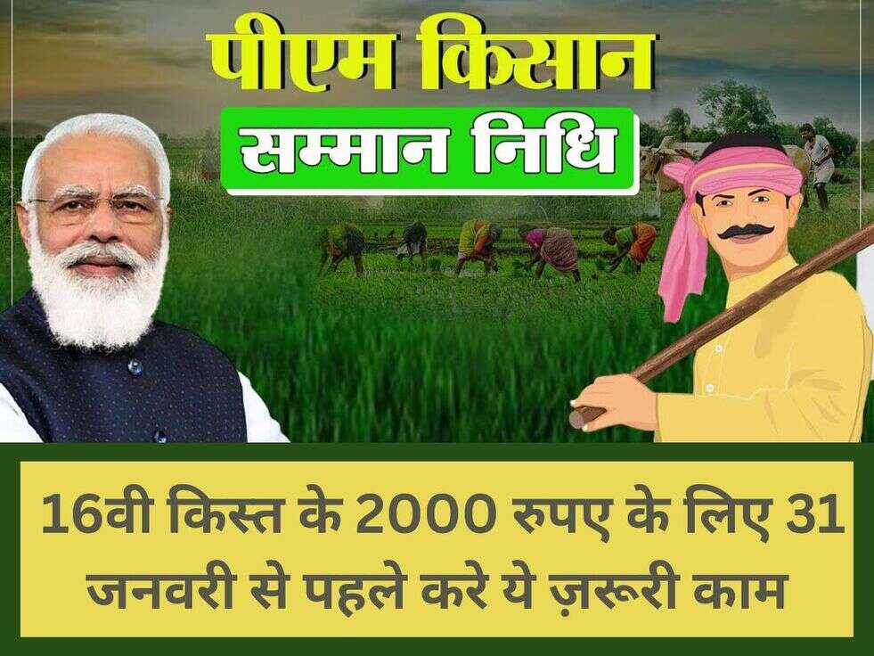 PM Kisan 16th Installment: 16वी किस्त के 2000 रुपए के लिए 31 जनवरी से पहले करे ये ज़रूरी काम