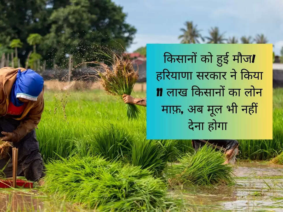 किसानों को हुई मौज! हरियाणा सरकार ने किया 11 लाख किसानों का लोन माफ़, अब मूल भी नहीं देना होगा 
