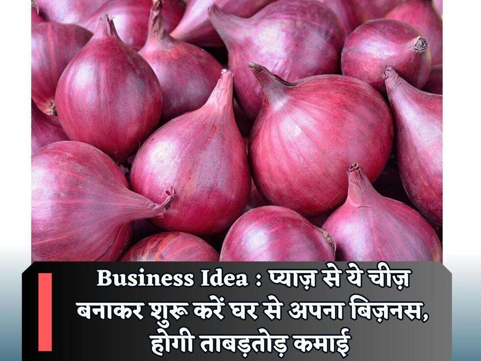 Business Idea : प्याज़ से ये चीज़ बनाकर शुरू करें घर से अपना बिज़नस, होगी ताबड़तोड़ कमाई&nbsp;