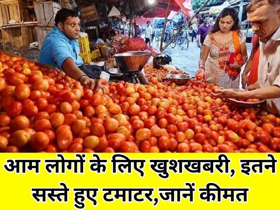 tomato price 
