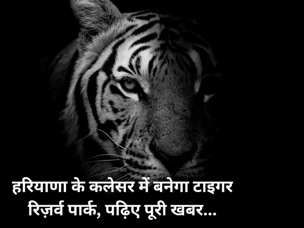 हरियाणा के कलेसर में बनेगा टाइगर रिज़र्व पार्क, पढ़िए पूरी खबर...