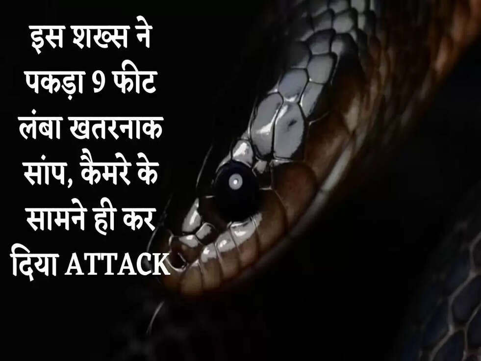 इस शख्स ने पकड़ा 9 फीट लंबा खतरनाक सांप, कैमरे के सामने ही कर दिया ATTACK