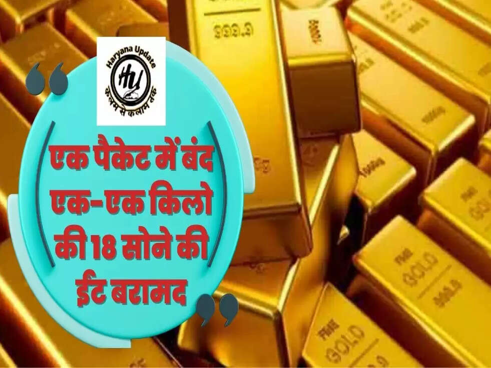 एक पैकेट में बंद एक-एक किलो की 18 सोने की ईंट बरामद