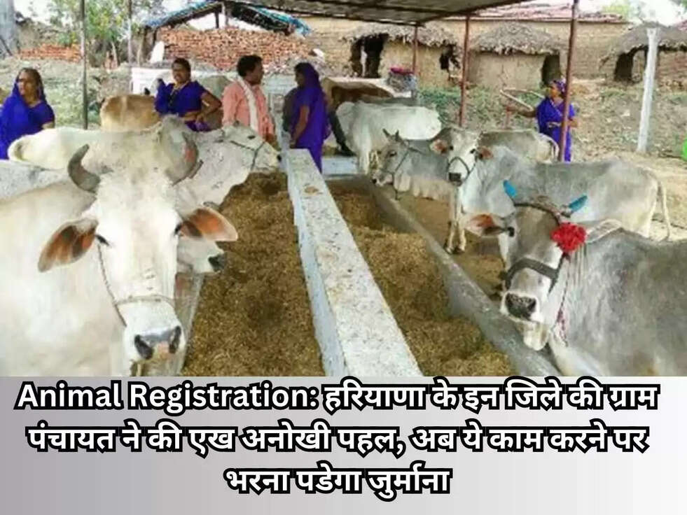 Animal Registration