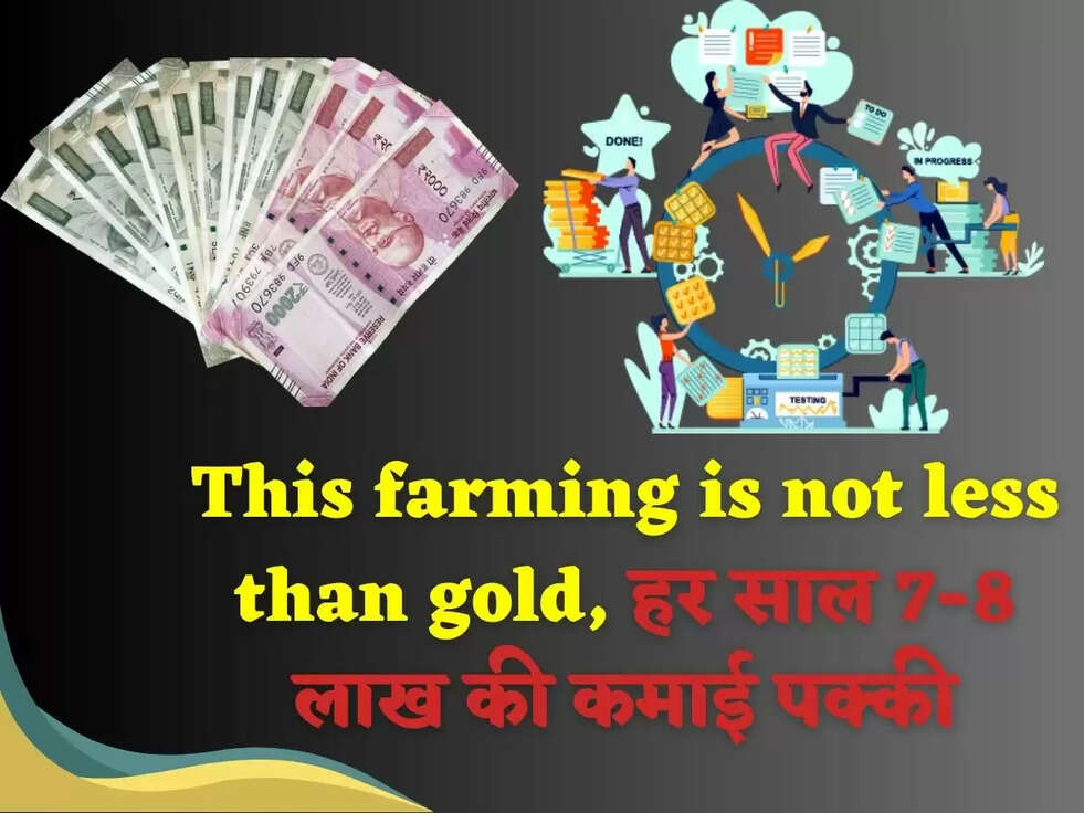 सोने से कम नहीं है ये खेती, हर साल 7-8 लाख की कमाई पक्की, जाने पूरी डिटेल