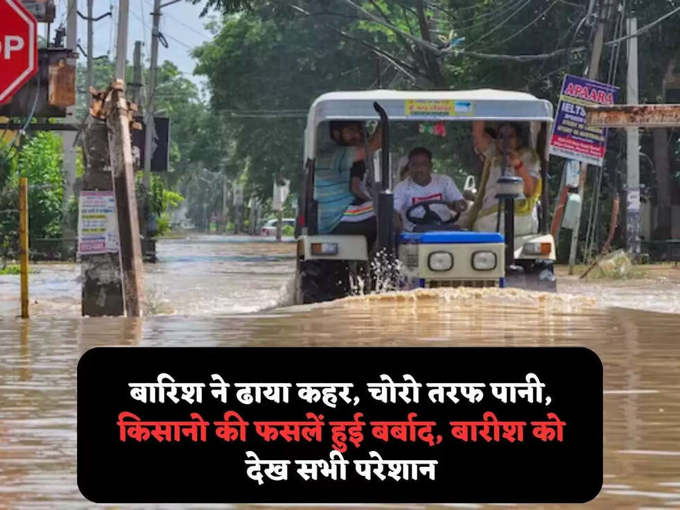 बारिश ने ढाया कहर, चोरो तरफ पानी, किसानो की&nbsp;फसलें हुई बर्बाद, बारीश को देख सभी परेशान