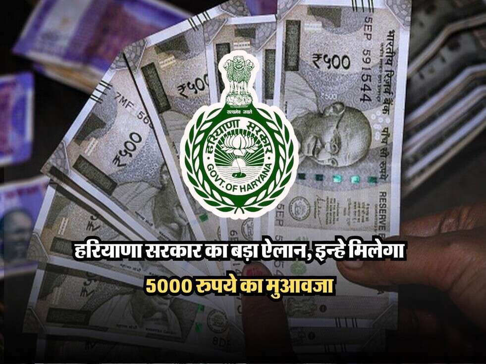 haryana news