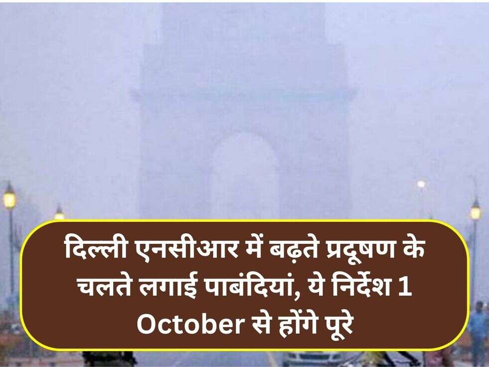 दिल्ली एनसीआर में बढ़ते प्रदूषण के चलते लगाई पाबंदियां,&nbsp;ये निर्देश 1 October से होंगे पूरे
