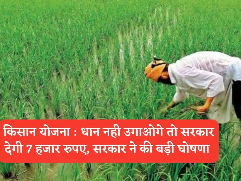 किसान योजना :  धान नही उगाओगे तो सरकार देगी 7 हजार रुपए, सरकार ने की बड़ी घोषणा 