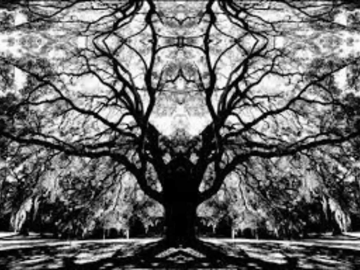 mexico village blind