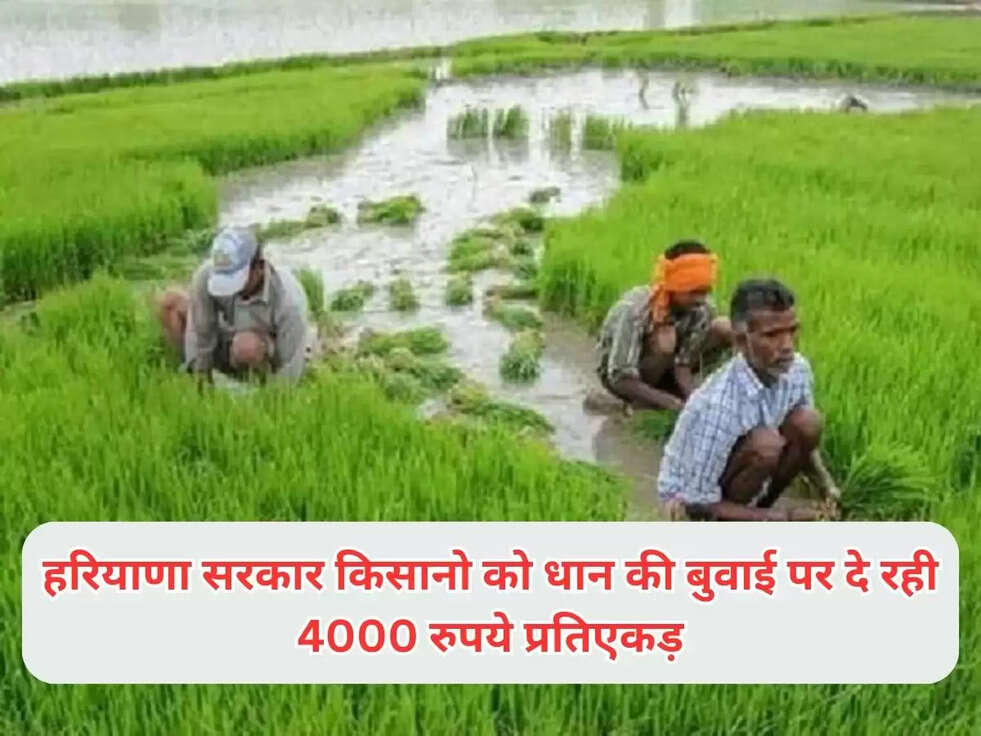 Haryana Govt Scheme