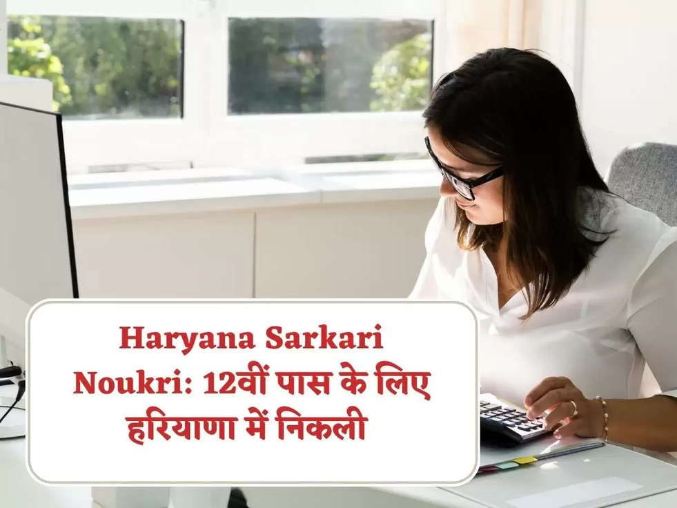 Haryana Sarkari Noukri: 12वीं पास के लिए हरियाणा में निकली इतने पदों पर क्लर्क और चपरासी के पदों पर सरकारी नौकरी! एसे करे आवेदन 