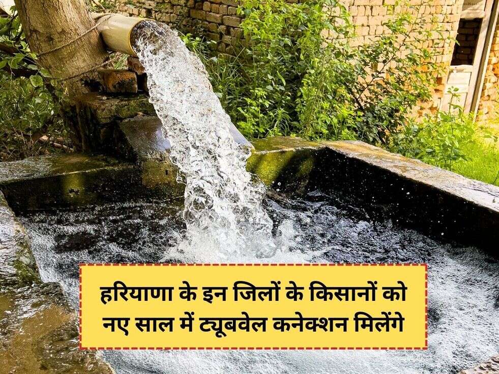 हरियाणा के इन जिलों के किसानों को नए साल में ट्यूबवेल कनेक्शन मिलेंगे