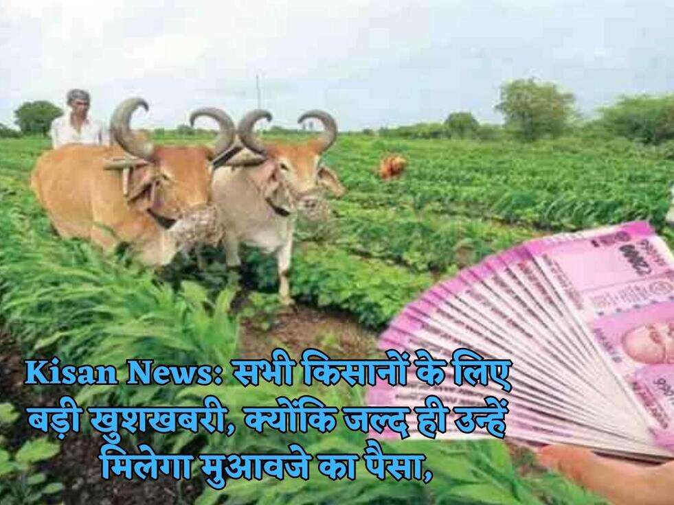 Kisan News: सभी किसानों के लिए बड़ी खुशखबरी, क्योंकि जल्द ही उन्हें मिलेगा मुआवजे का पैसा,