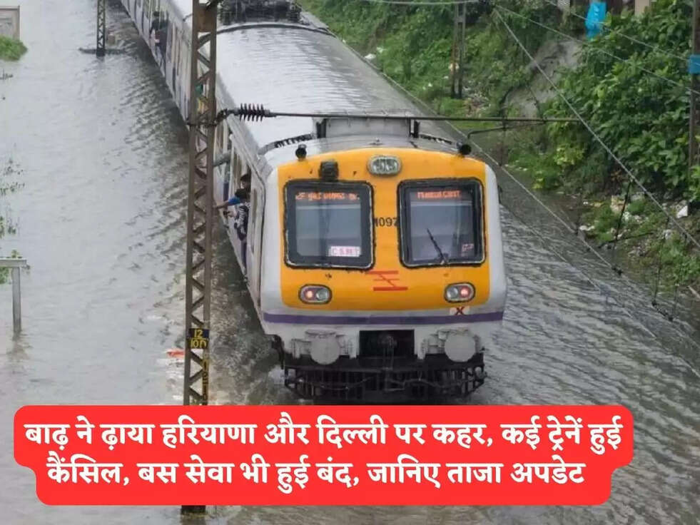 बाढ़ ने ढ़ाया हरियाणा और&nbsp;दिल्ली पर कहर, कई ट्रेनें हुई&nbsp;कैंसिल, बस सेवा भी हुई बंद, जानिए ताजा अपडेट&nbsp;&nbsp;