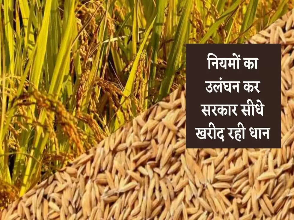 नियमों का उलंघन कर सरकार सीधे खरीद रही धान, जानिए पूरी खबर&nbsp;