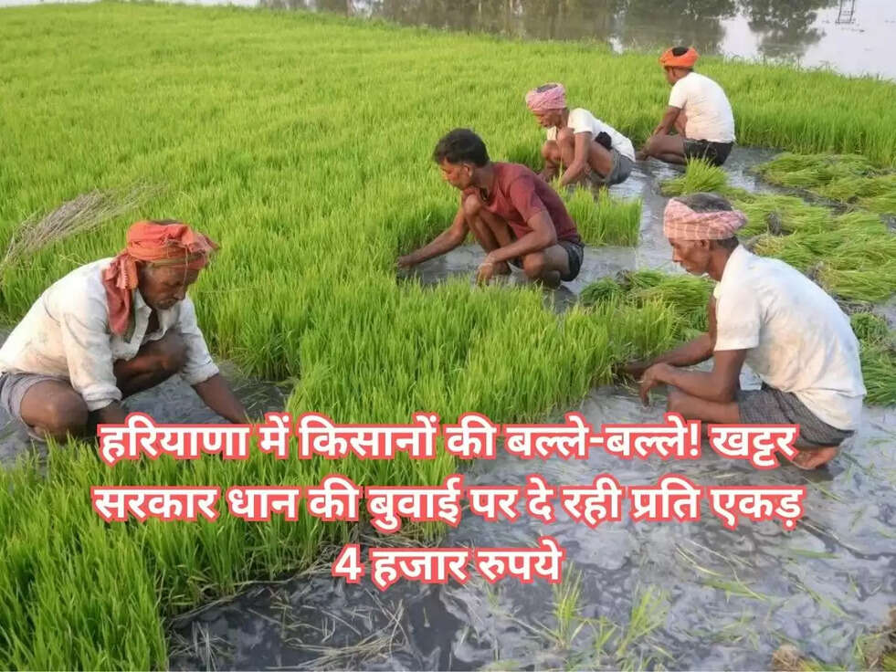 Haryana Government Scheme