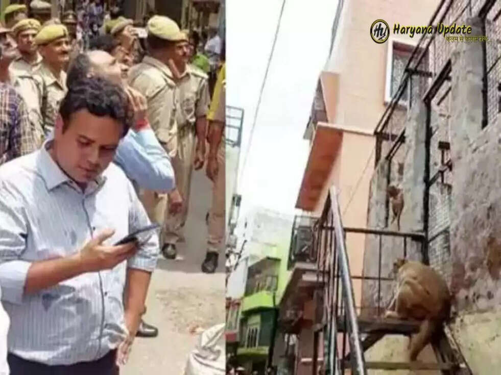 Viral video: स्नैचर बंदर ने छीन लिया डीएम का चश्मा, वीडियो हुई वायरल 