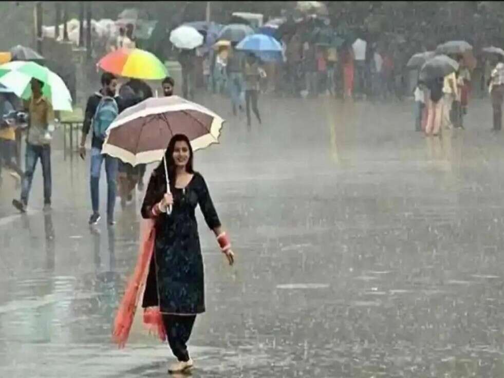 haryana weather news