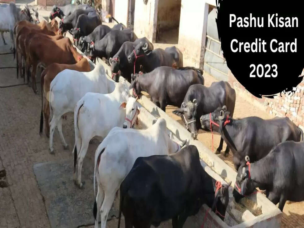 Pashu Kisan Credit Card