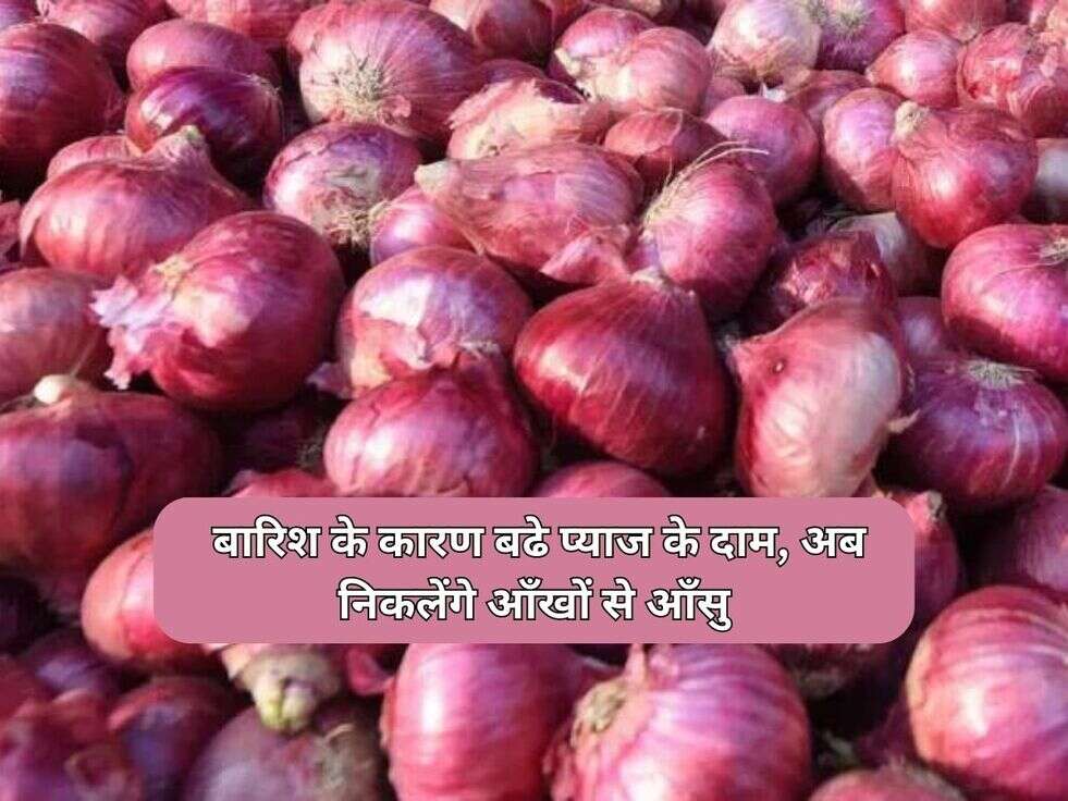 Onion Price
