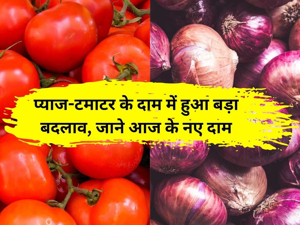 Onion Price: प्याज-टमाटर के दाम में हुआ बड़ा बदलाव, जाने आज के नए दाम