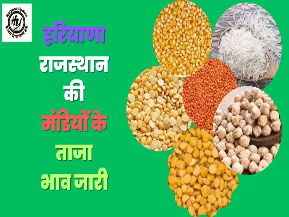हरियाणा राजस्थान की मंडियों के ताजा भाव जारी