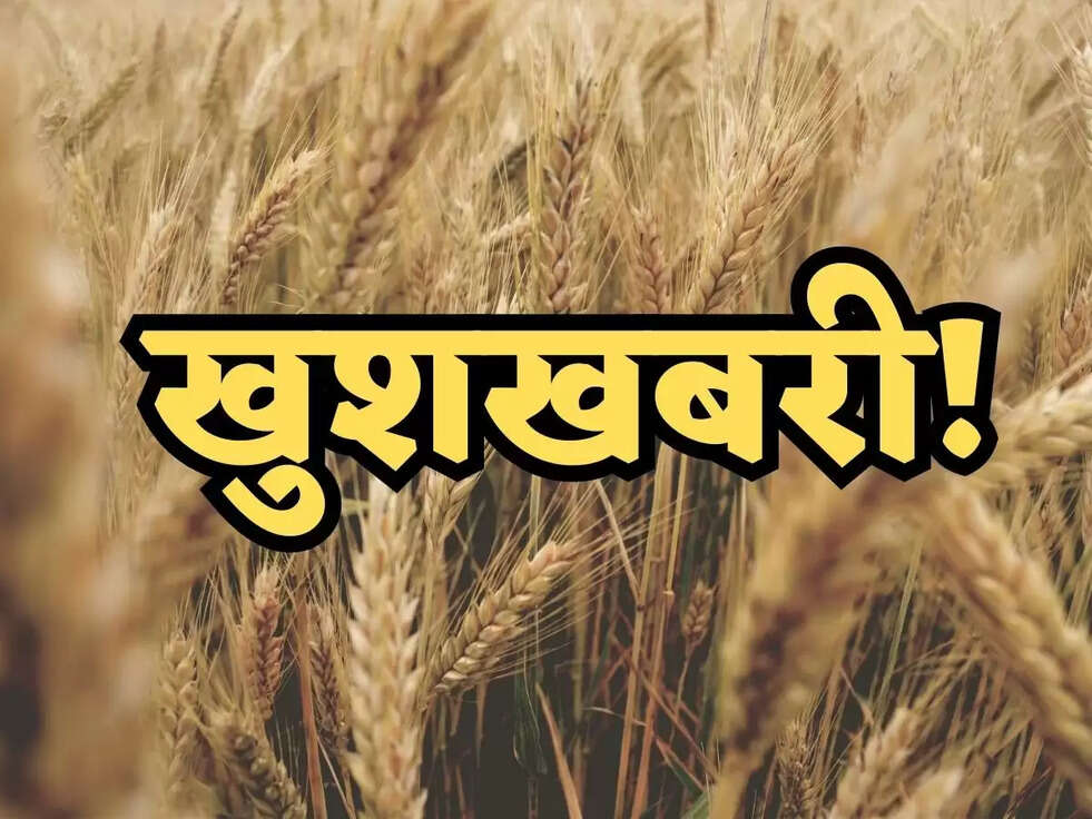 खुशखबरी! हरियाणा में कृषि विभाग के संयुक्त निदेशक अतीश कुमार शर्मा ने कहा गेंहू का एक-एक टुटा दाना भी खरीदेगी सरकार