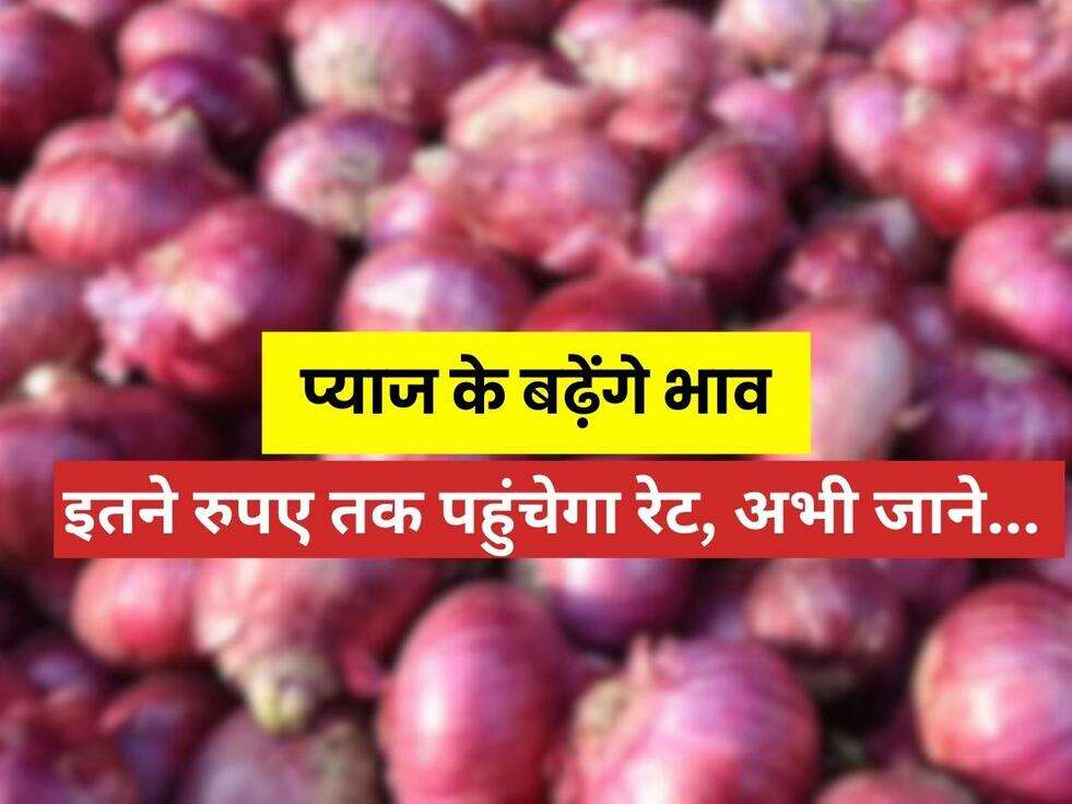 Onion Price Hike: जिसका डर था वहीं हुआ, प्याज के बढ़ेंगे भाव, इतने रुपए तक पहुंचेगा रेट, अभी जाने...&nbsp;