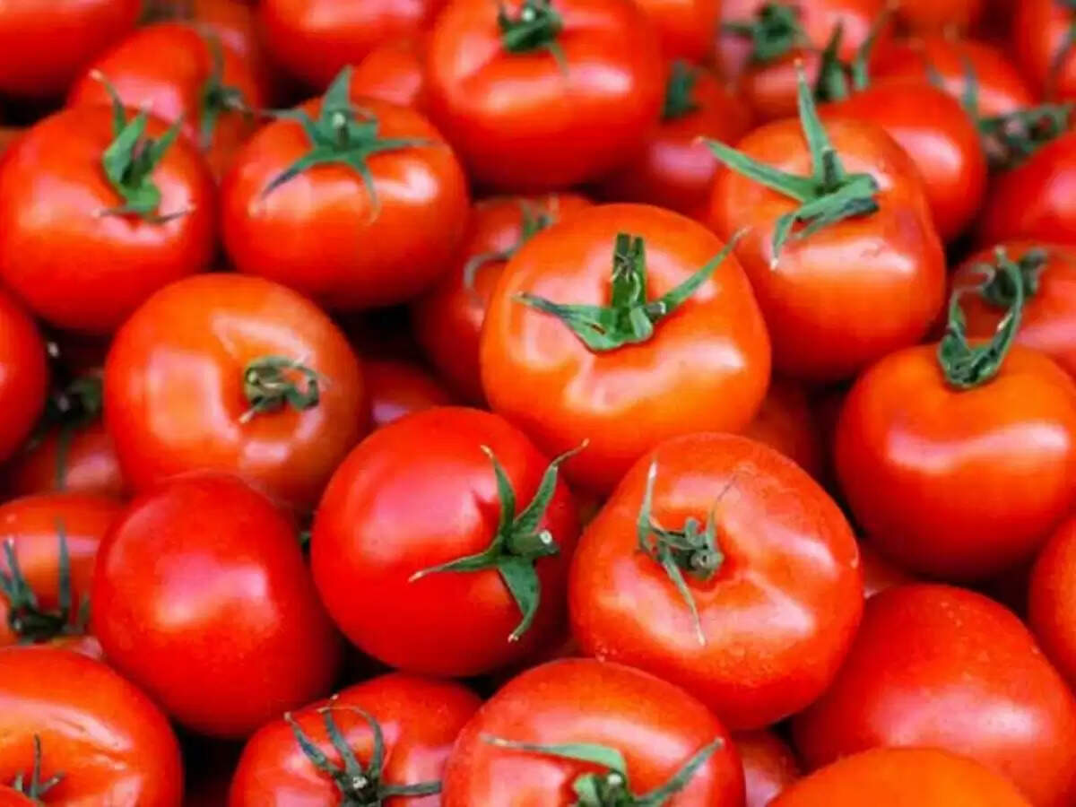 Tomato Prices: After lemon, tomato prices rise, know how much the price can go