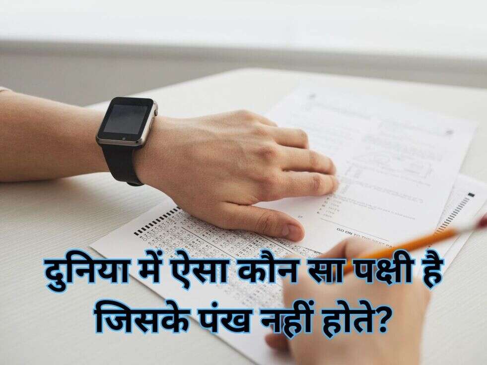 दुनिया में ऐसा कौन सा पक्षी है जिसके पंख नहीं होते?