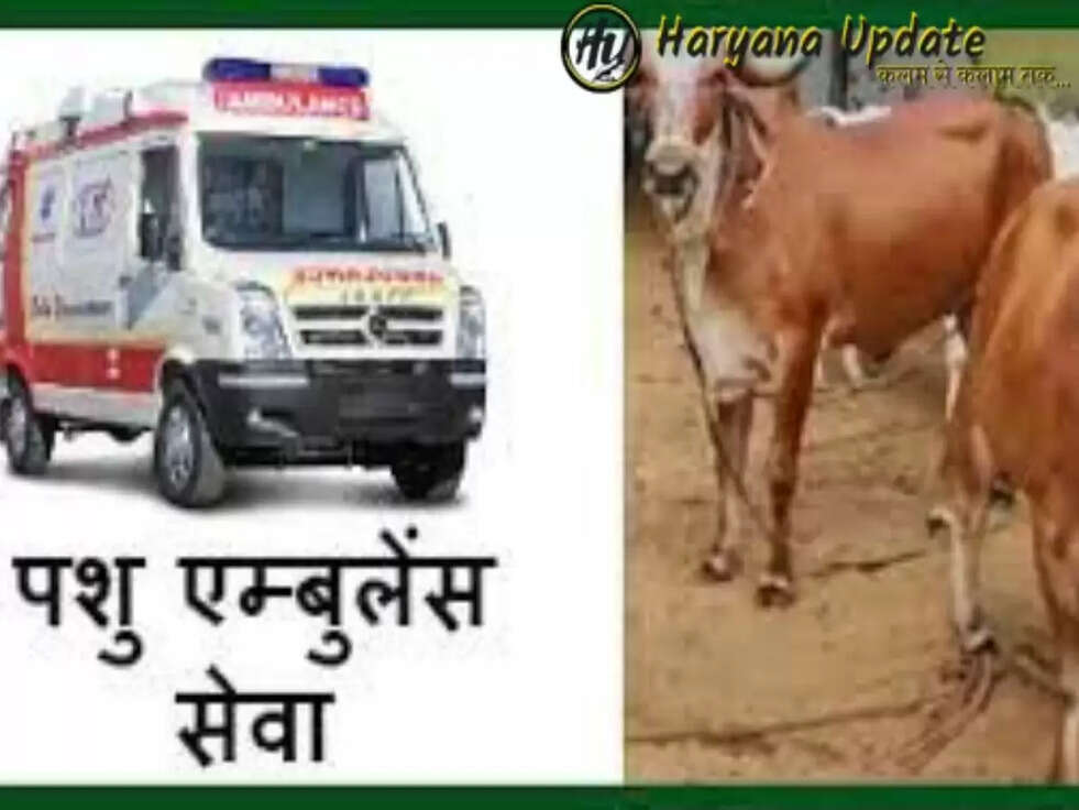 पशु पलने वालो के लिए Good News, सरकार ने बनाई नया प्लान, पशुओं के इलाज लिए &nbsp;शुरू हुई 406 पशु एम्बुलेंस, यहां करना होगा मिस्ड कॉल..