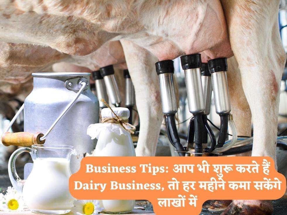 Business Tips: आप भी शुरू करते हैं Dairy Business, तो हर महीने कमा सकेंगे लाखों में​​​​​​​