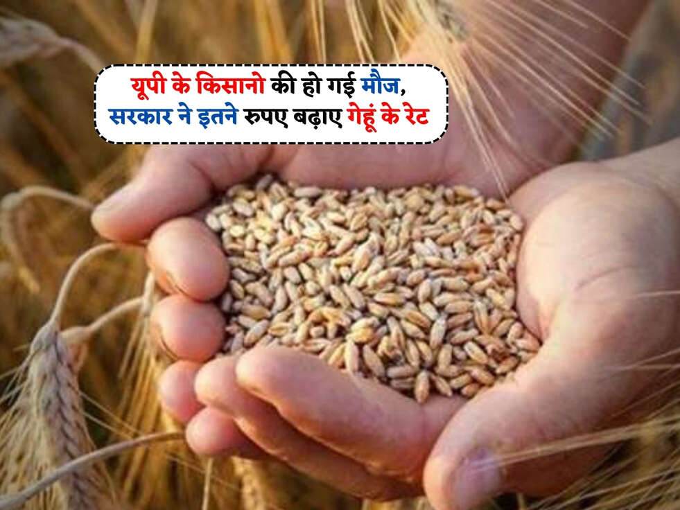 UP News : यूपी के किसानो की हो गई मौज, सरकार ने इतने रुपए बढ़ाए गेहूं के रेट&nbsp;